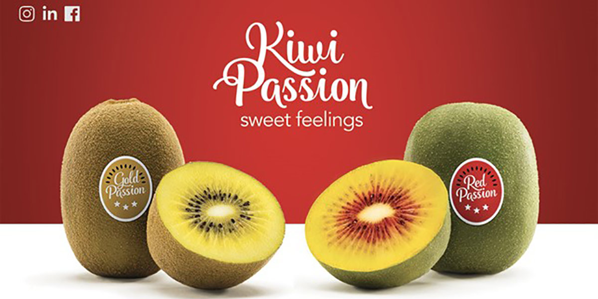 «Kiwi Gold e Red Passion®, vi racconto i segreti del nostro successo»